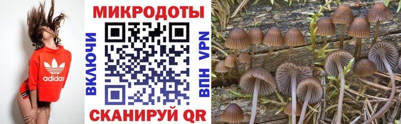 Псилоцибиновые грибы Cubensis Купить закладки Советск